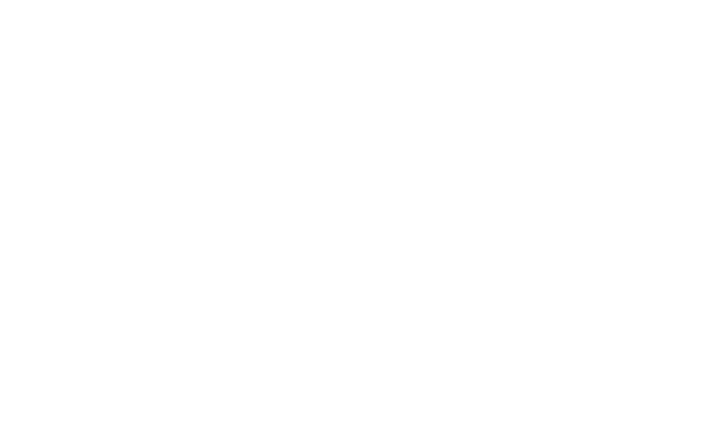 META INVEST LTD